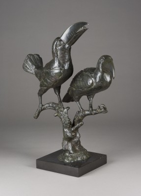 Bild TUKAN PAAR AUF EINEM AST