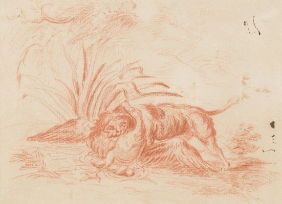 Auktion 155<br>ANGRIFF EINES BARBET AUF EINE BRÜTENDE ENTE