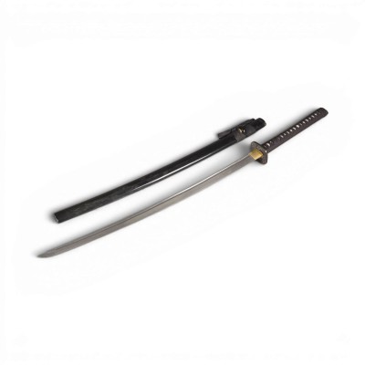 Picture EINE MONTIERTE KATANA