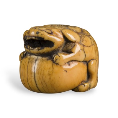 Auktion 159<br>EIN NETSUKE EINES SHISHI MIT KUGEL AUS ELFENBEIN