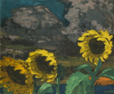 Picture 'SONNENBLUMEN BEI UNWETTER'