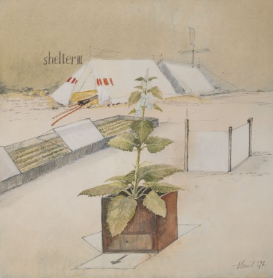 Picture 'SHELTER III' (1976)