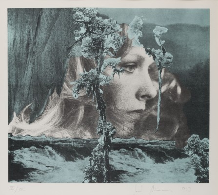 Bild OHNE TITEL (1963)