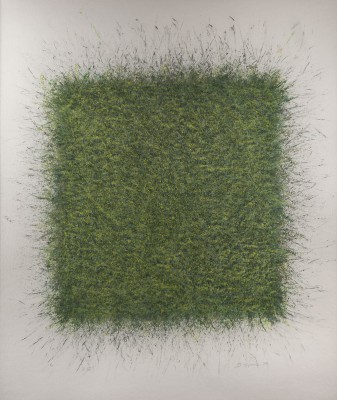 Bild 'Q VII'