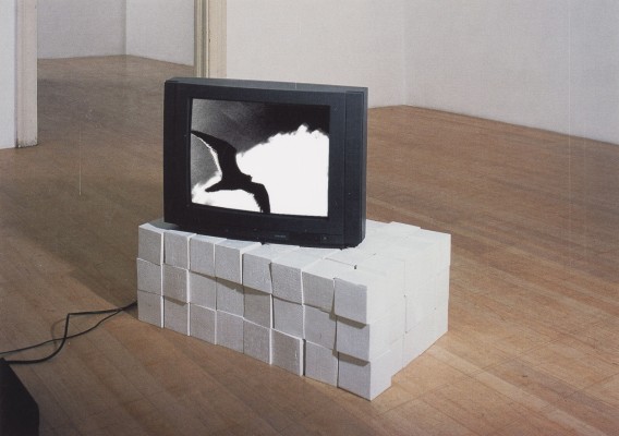 Picture 'OF DOTS AND DUCKS' (2005)