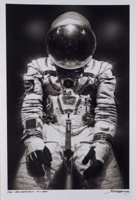 Picture 'DER KOSMONAUT' (2015)