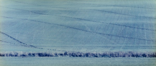 Bild OHNE TITEL (1998)