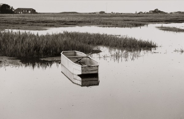 Bild BOOT AUF PELLWORM