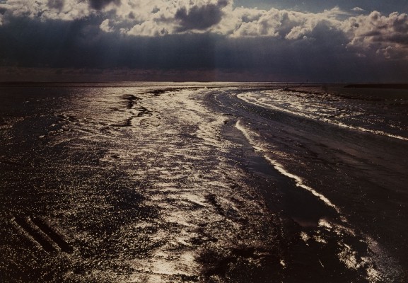 Bild WATTENMEER PELLWORM