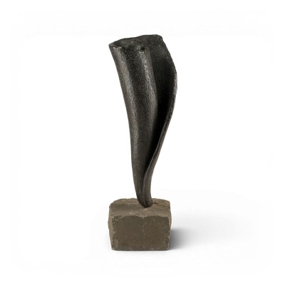 Picture OHNE TITEL (SCHNECKENFORM)