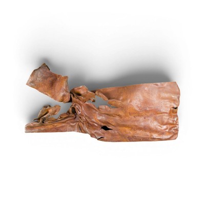 Bild 'QUAKE XL 11' (2012)