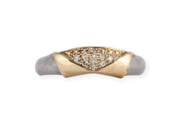 Bild SCHLICHTER BICOLOR RING