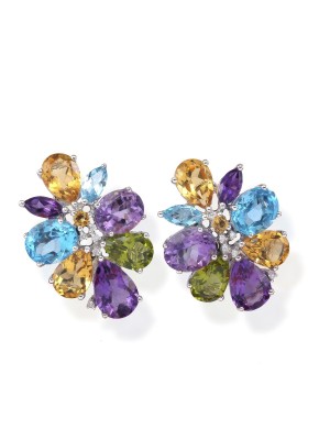 Picture MULTICOLOR CLIPSTECKER