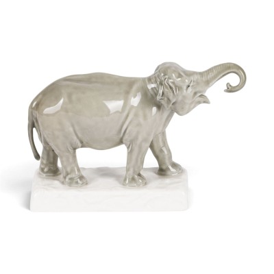 Picture JUNGER ELEFANT