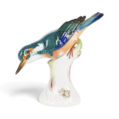 Picture EISVOGEL