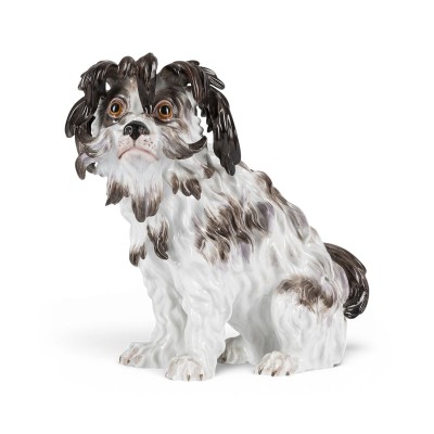 Auction 160<br>BOLOGNESER HUND