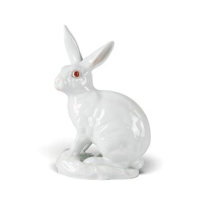 Picture HASE