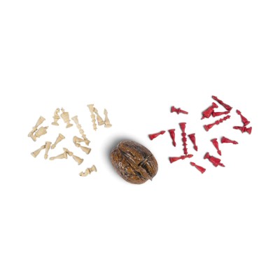 Bild MINIATUR-SCHACHFIGUREN IN WALNUSS-SCHALE