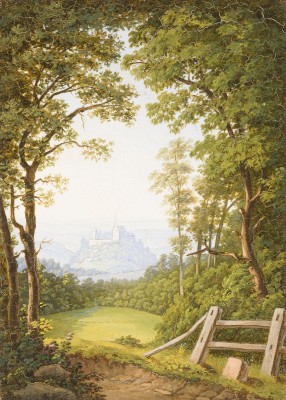 Picture AUSSICHT AUF DAS SCHLOSS FÜRSTENSTEIN