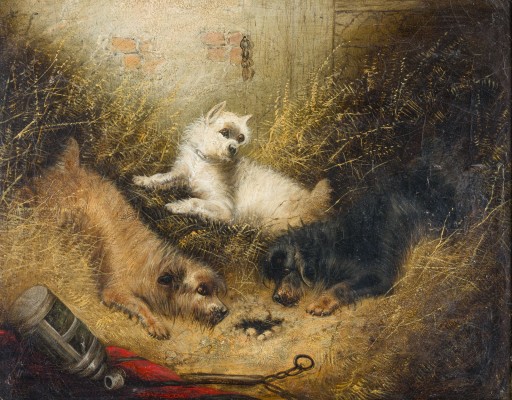 Auction 160<br>TERRIER AUF JAGD IN DER SCHEUNE