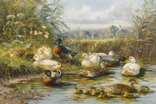Auction 160<br>ENTEN AM FLUSSUFER