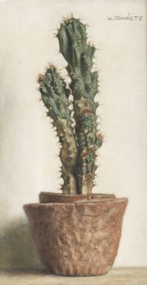 Auction 160<br>KAKTUS IM TOPF