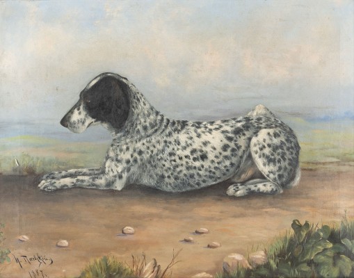 Bild LIEGENDER VORSTEHHUND