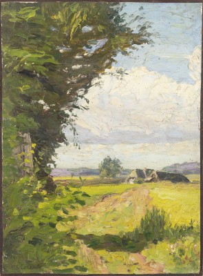 Picture SOMMERLANDSCHAFT