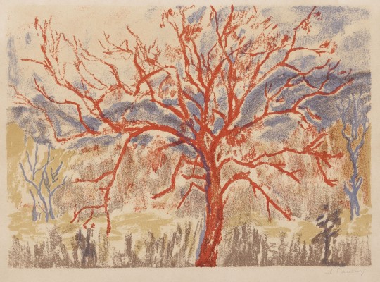 Picture 'ROTER BAUM'
