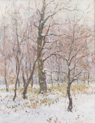Picture WINTERLANDSCHAFT